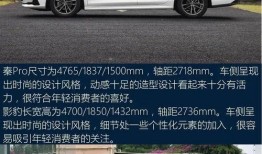 瑞豹最新款爆料车多少钱,售价突破XX万元，性能与颜值并存！